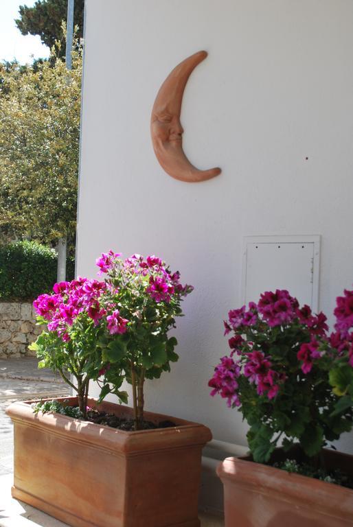 Hotel Donatello Alberobello Exterior photo